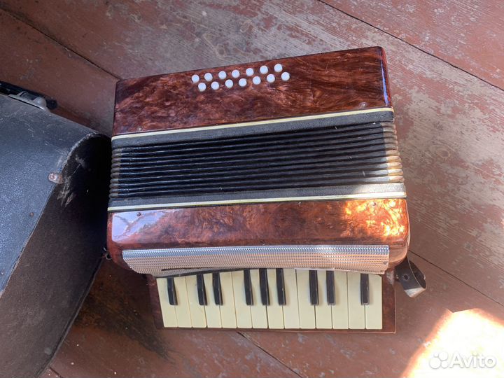 Аккордеон «малыш»