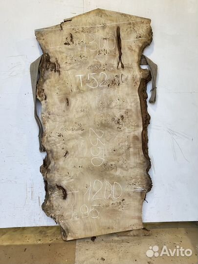 Слэб тополя