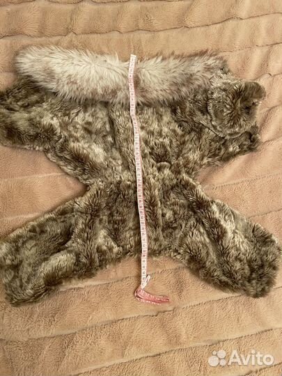 Вещи на маленькую собачку