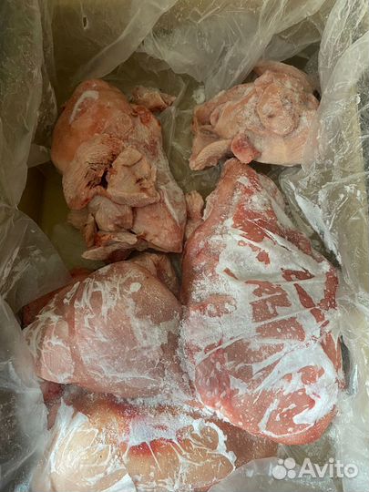 Мясо для собак