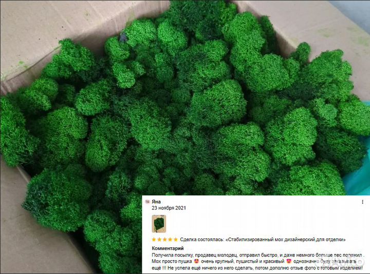 Стабилизированный ягель для стен и кашпо