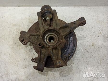 Кулак задний левый