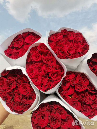 Роза Чёрная Магия