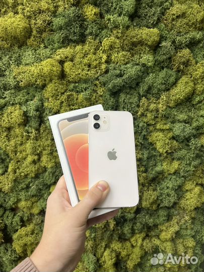 iPhone 12, 256 ГБ