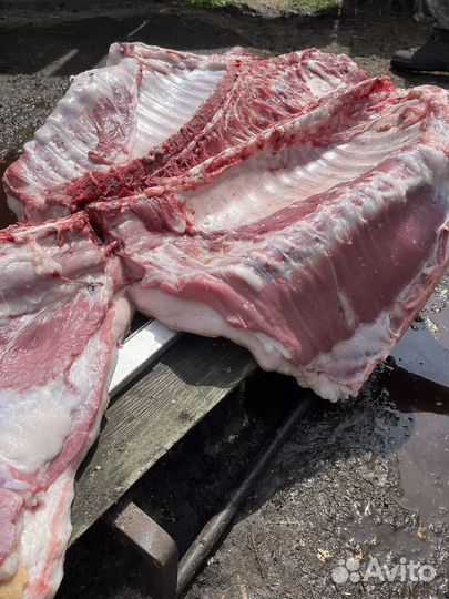 Мясо свинина домашняя, сало, яйцо куриное