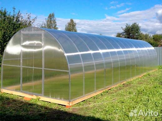 Теплица арочная 25 труба 3*10
