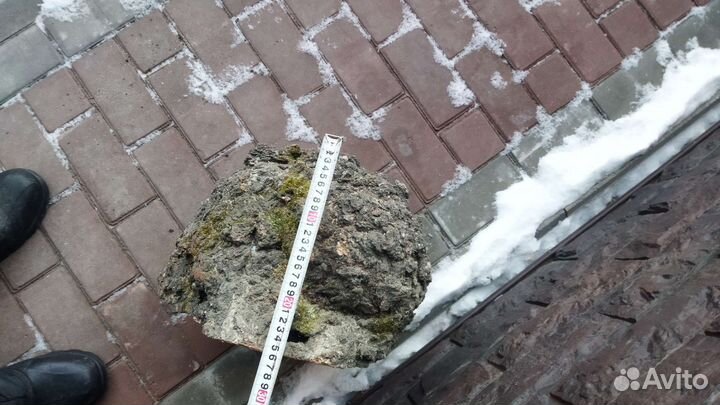 Кап березовый