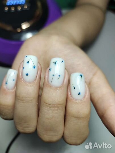 Маникюр педикюр