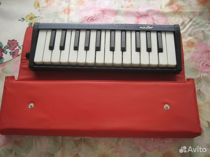 Мелодика ГДР Времен СССР (Там же куплена)