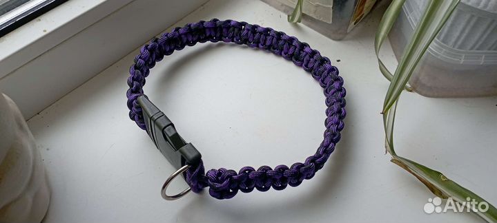 Ошейник для собак