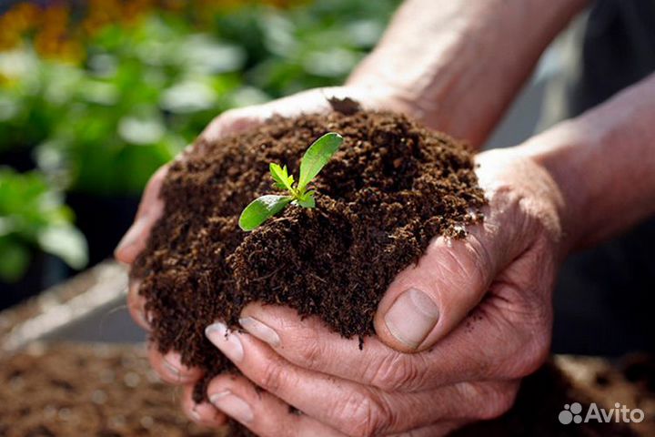 Торф Богородский, гумус, вермикулит с доставкой