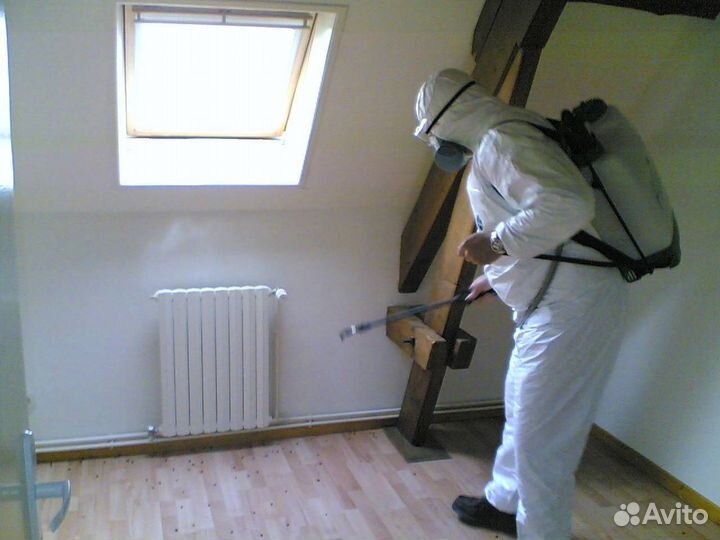 Консультация по уничтожению тараканов Миша Титов f-9974