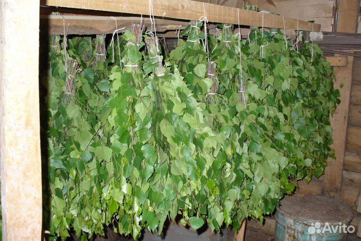 Веники для бани