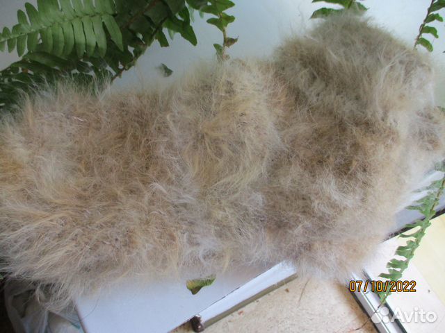 Носки из собачьей шерсти