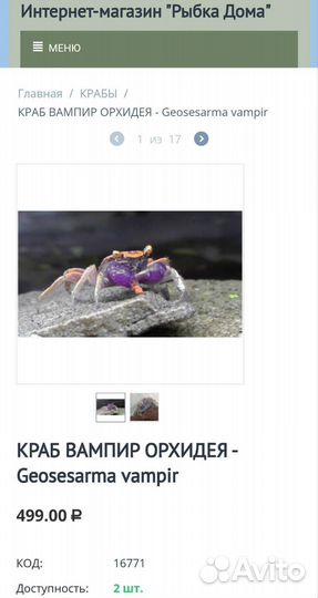 Крабы, много видов магазин у метро Беляево