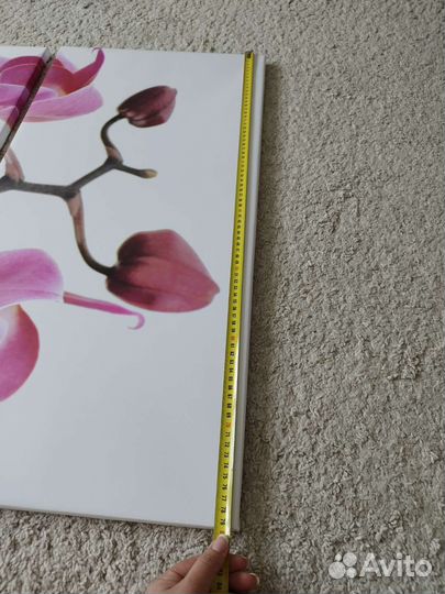 Модульная картина 