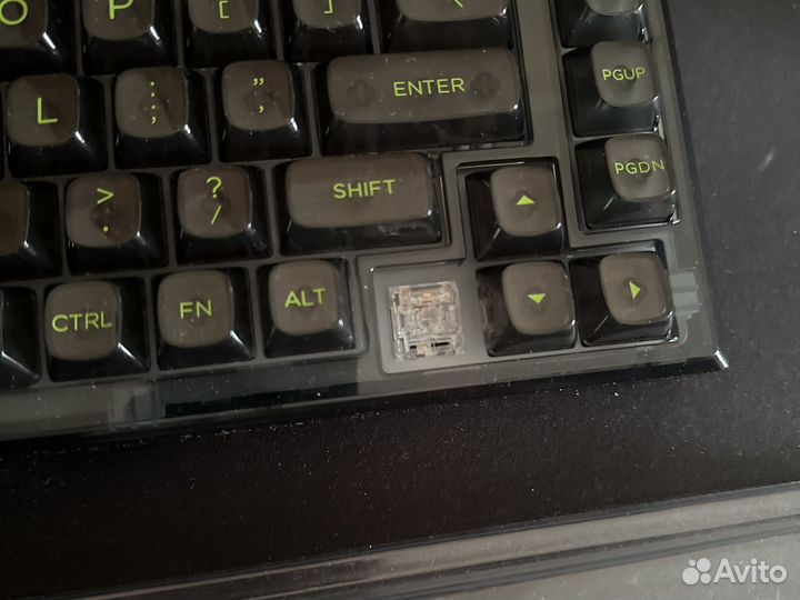 Fl esports Q75