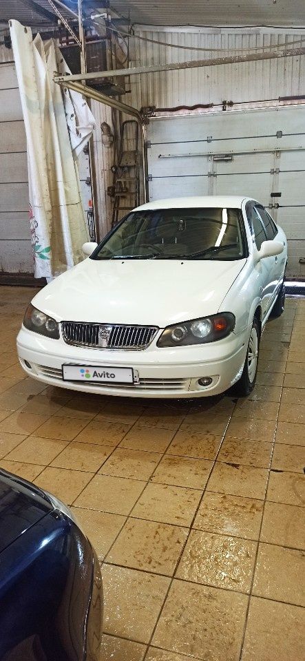 Nissan Bluebird Sylphy: фото владельца