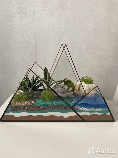 Флорариум Горы с суккулентами