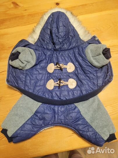 Одежда для собак мелких пород