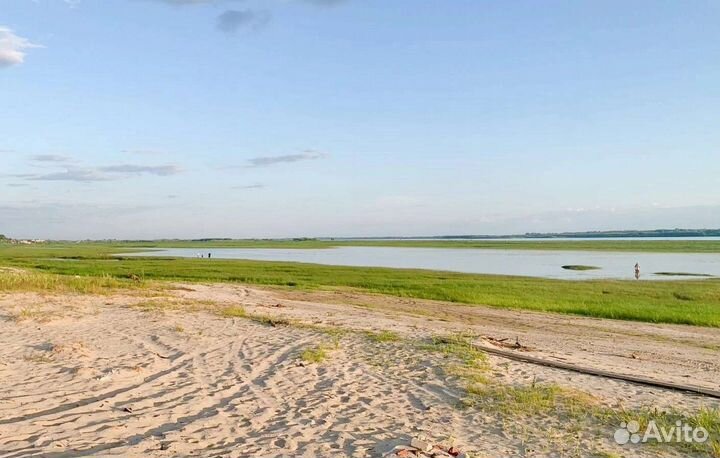 Конные прогулки и фотосессии