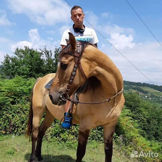 Прогулка на лошадях