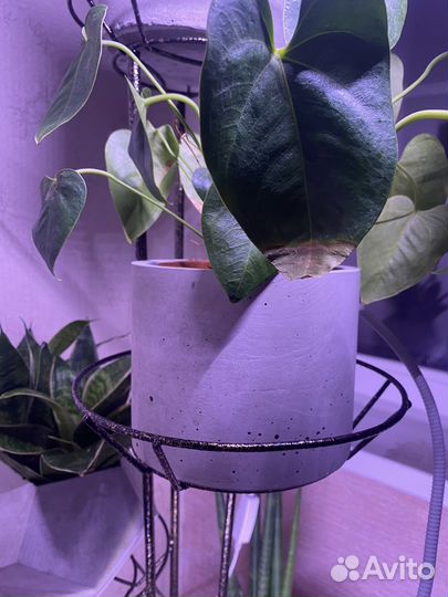 Кашпо для цветов, бетонное кашпо, кашпо из бетона