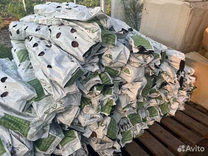 Кокосовый субстрат клубника