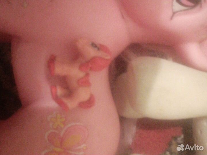 Семейство пони