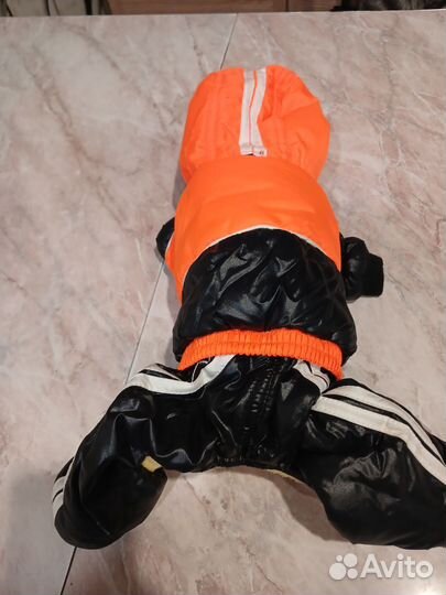 Комбинезон зимний для мини породы