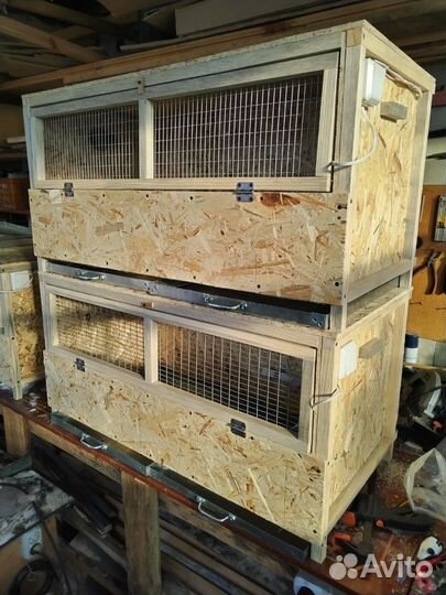 Брудер, брудер для цыплят