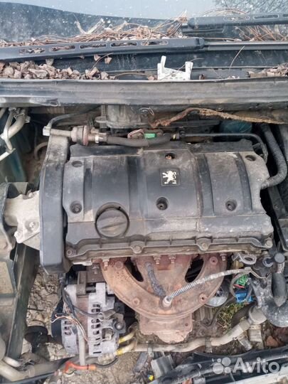 Генератор peugeot 307