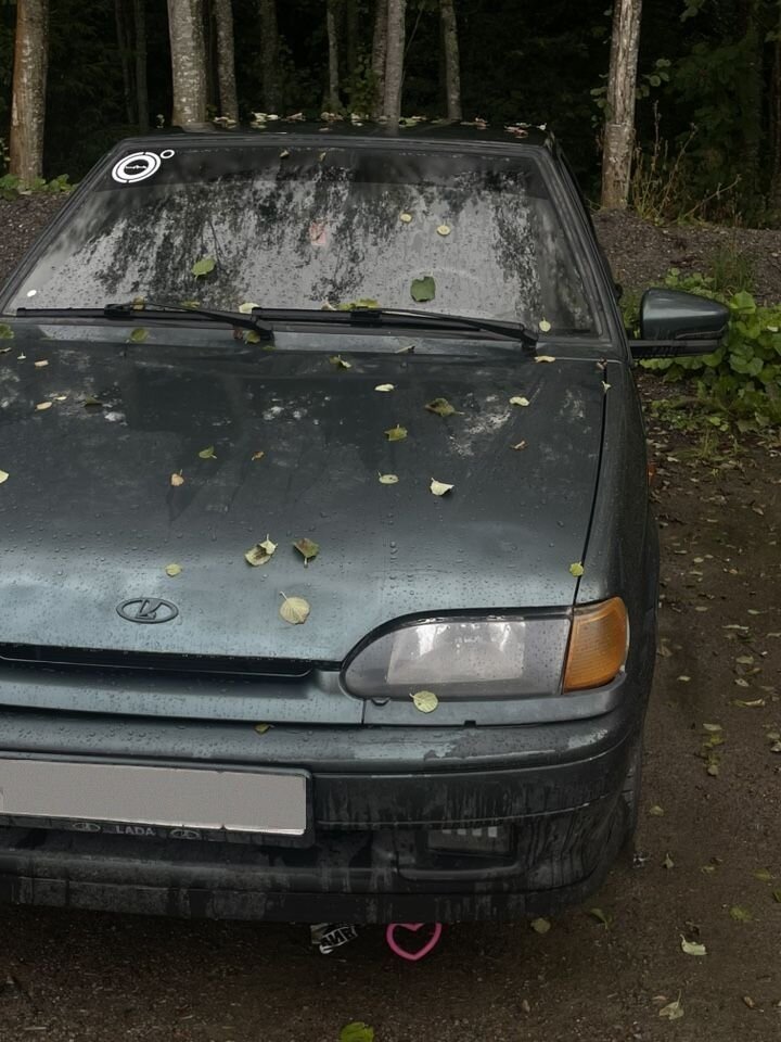ВАЗ (LADA) 2114 Samara: фото владельца