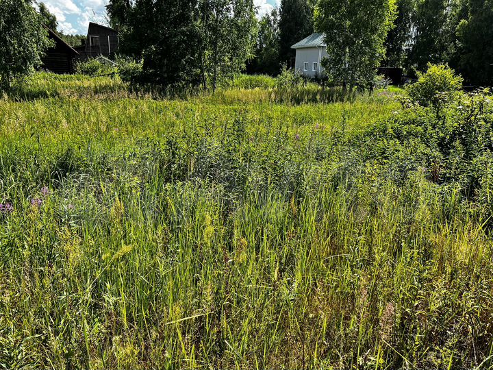 Участок 16 сот. (СНТ, ДНП)