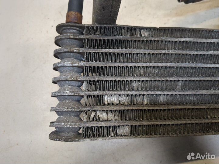 Радиатор масляный Nissan Elgrand, 1998