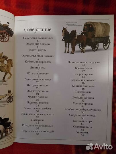 Книги о лошадях