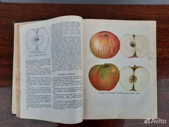 Книга Сорта плодовых и ягодных культур 1953