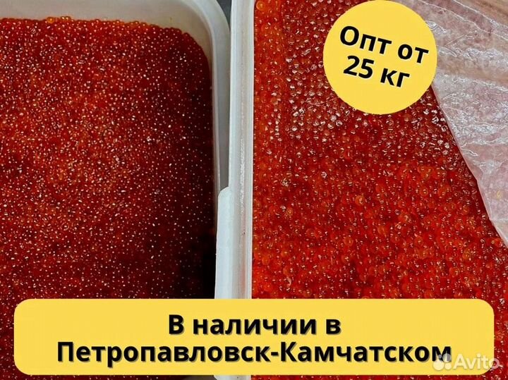 Икра красная горбуши, улов июнь 2023 года