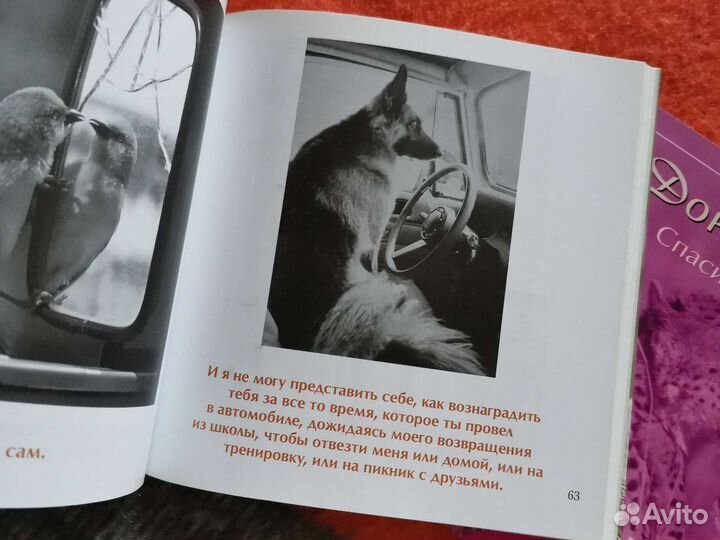 Бредли Тревор Грив - Мамочка, Папочка