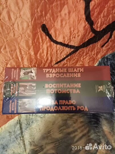 Видеокассеты новые, фильмы о животных