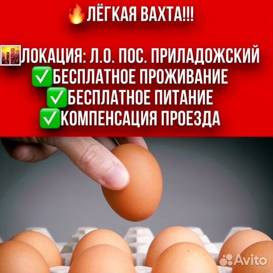 Упаковщик яиц. Вахта - 50км от СПБ