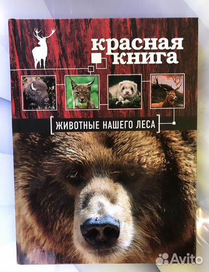 Красная книга животные нашего леса