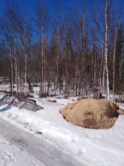 Участок 10 сот. (СНТ, ДНП)