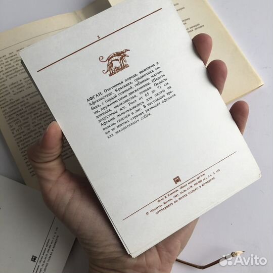 Набор 20 Открыток Наши Верные Друзья Собаки СССР