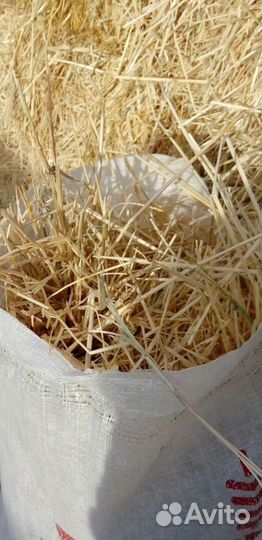 Солома в мешках