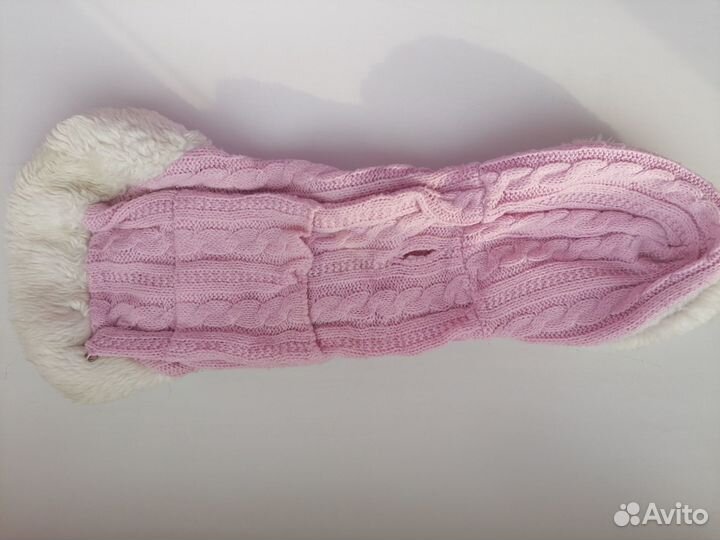 Одежда для животных