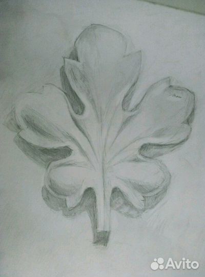 Рисунки карандашом, А2, А3, А4