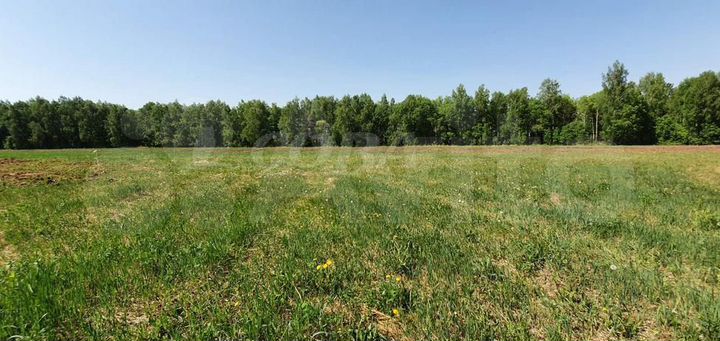 Участок 8,7 сот. (ИЖС)