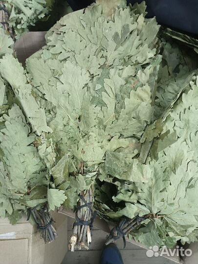 Дубовые веники для бани