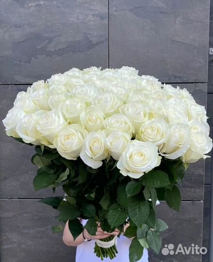 Розы / Цветы с доставкой